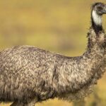 "Is That About Me?" - When Literature Becomes Personal emu-kl